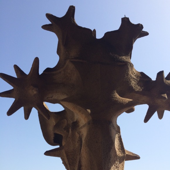 Meet your Posher, Tara - Picture 1 of 1